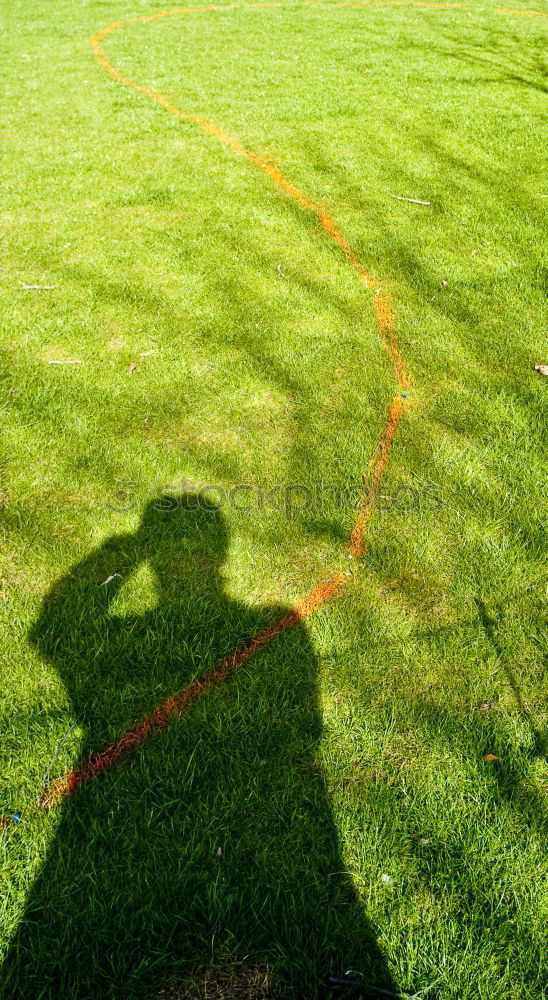 Similar – Image, Stock Photo Spiderman’s Shadow Meadow