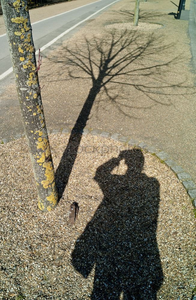 Similar – Image, Stock Photo Spiderman’s Shadow Meadow