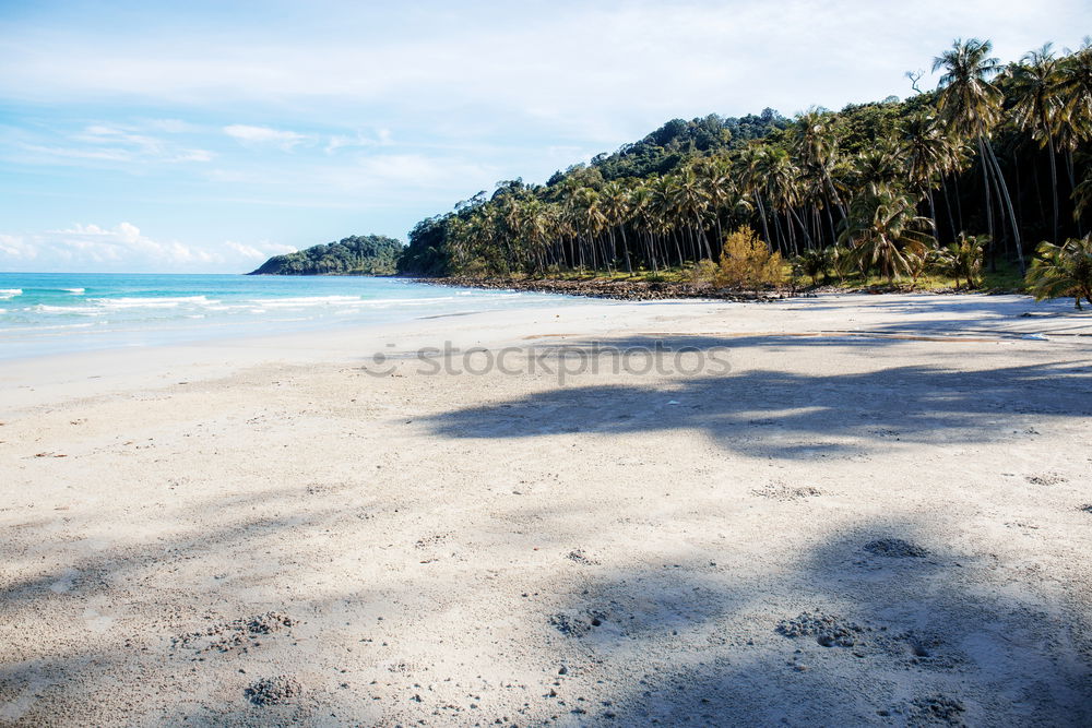 Similar – Image, Stock Photo awakeness. Cloudless sky