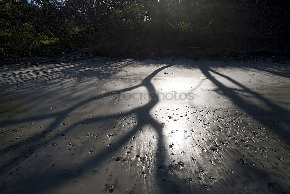 Similar – Image, Stock Photo puppet shadow Fidget Wave