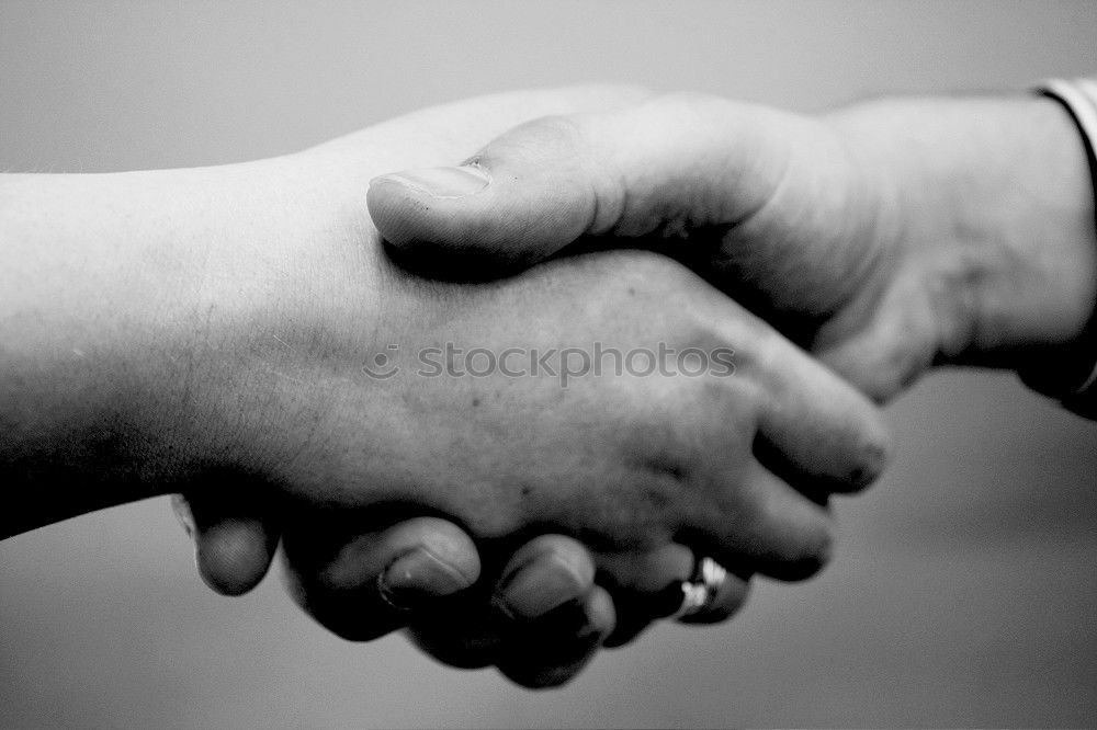 Similar – Image, Stock Photo We belong together