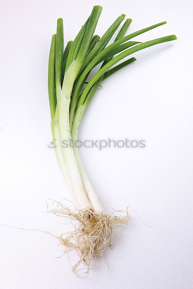 Similar – Image, Stock Photo bunch spring onions Food