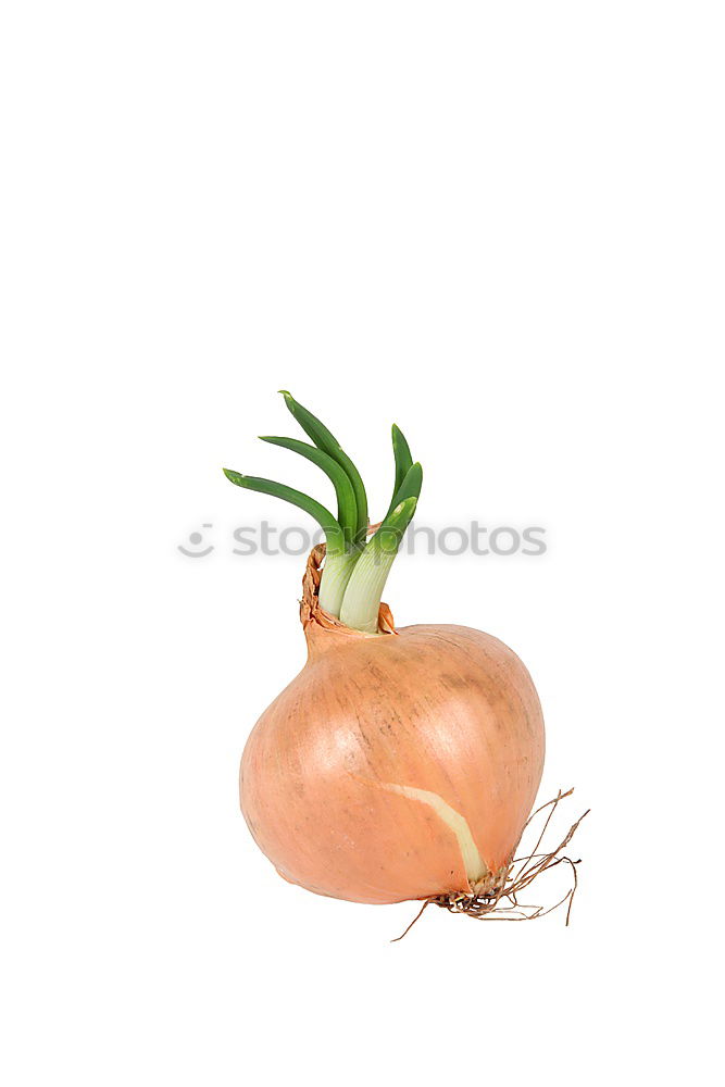 Similar – Image, Stock Photo carrot league Food