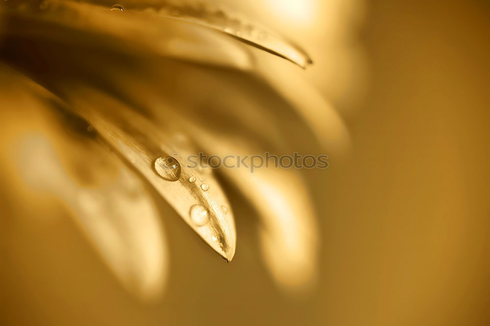 Similar – Image, Stock Photo banister