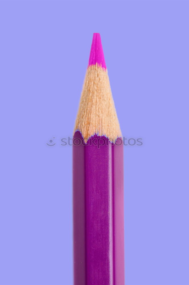 Image, Stock Photo PurplePink