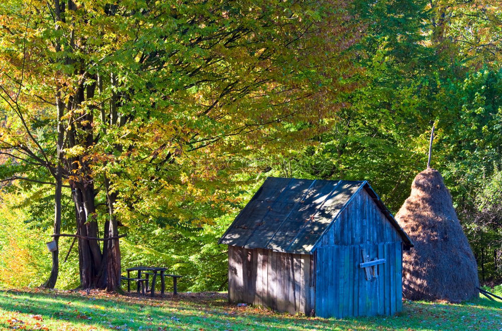 Similar – Image, Stock Photo Autumnal decay Hut