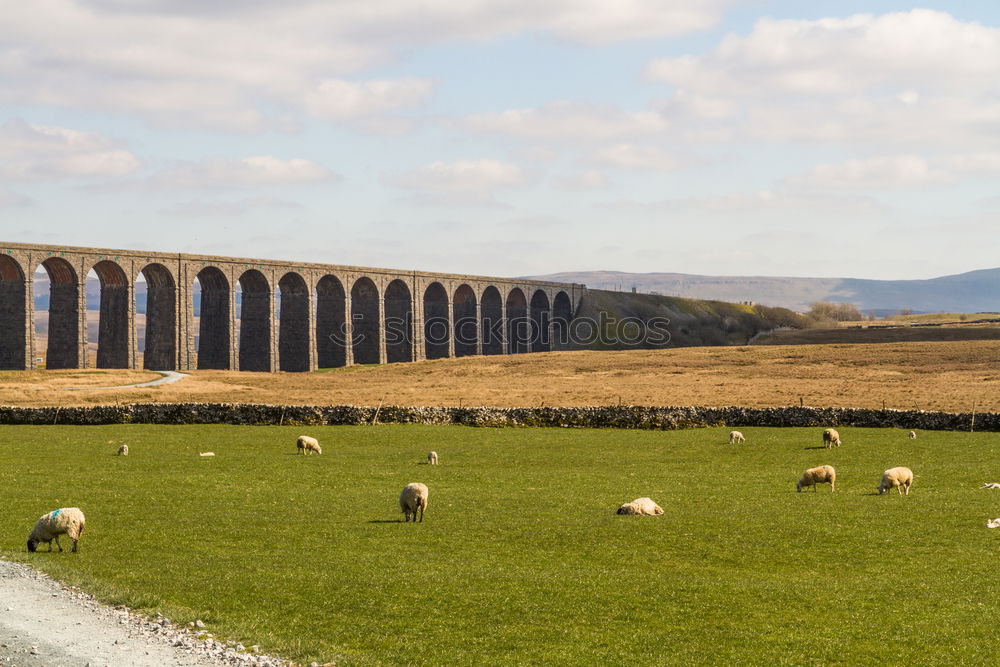 Similar – Image, Stock Photo Viaduct in Scotland; film location Harry Potter