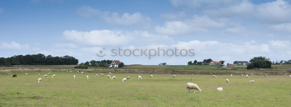 Similar – Image, Stock Photo Westerhever Lighthouse