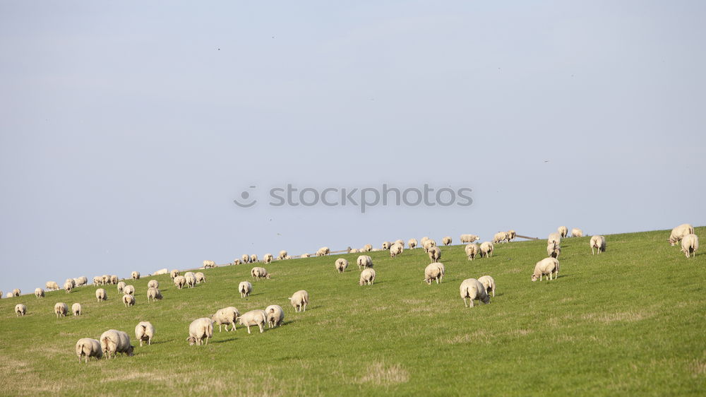 Similar – Foto Bild familienbande Natur