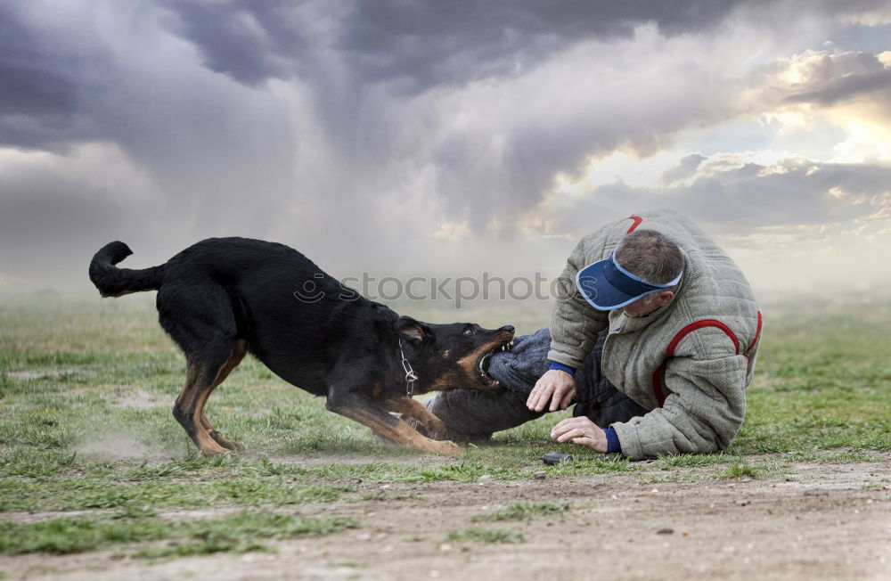 Similar – Image, Stock Photo eye-level Senses