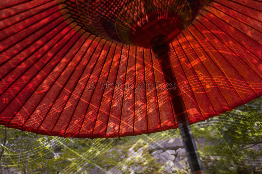 Similar – Flowered retro parasol