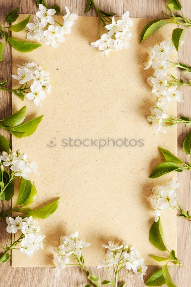 Similar – Image, Stock Photo Rapeseed honey on combs