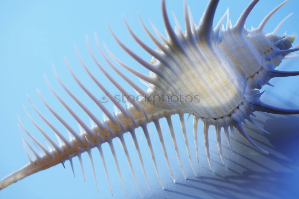Similar – Image, Stock Photo screw Screw