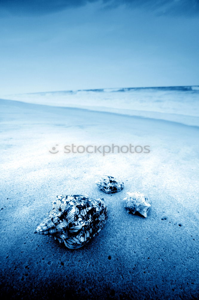 Similar – Image, Stock Photo on the way to the sea.