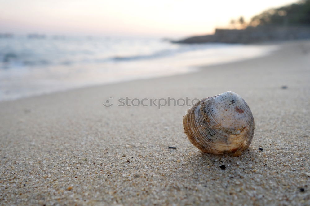 Similar – ball|ermann Playing Boules