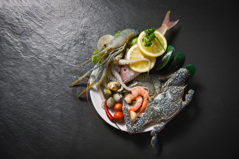 Similar – Image, Stock Photo Whole trout on a glass plate with ice cubes