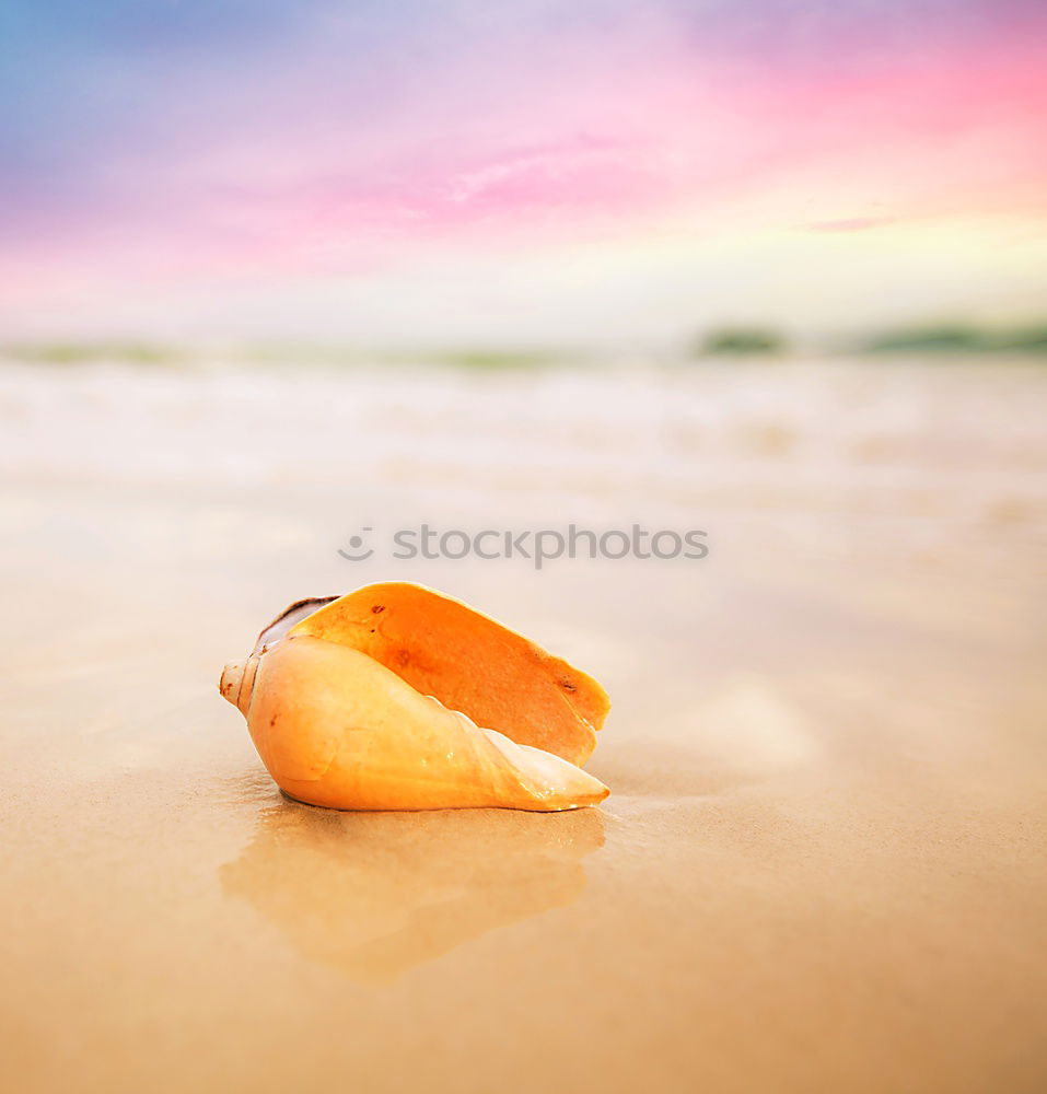 Similar – Image, Stock Photo Amber at the Baltic Sea beach