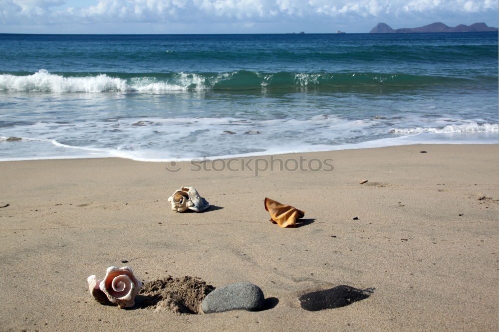 Foto Bild Andalusien, am Strand