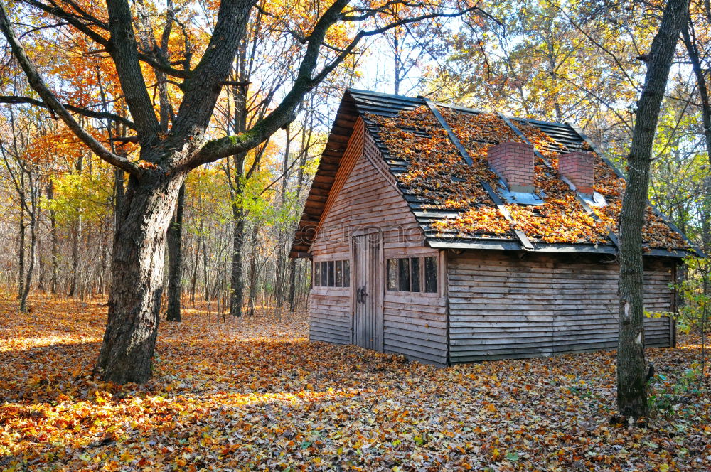 Similar – Image, Stock Photo Autumnal decay Hut