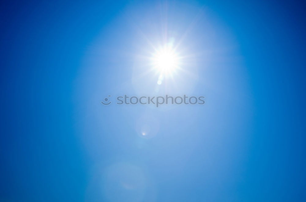 Similar – Image, Stock Photo TREE CROWN Relaxation