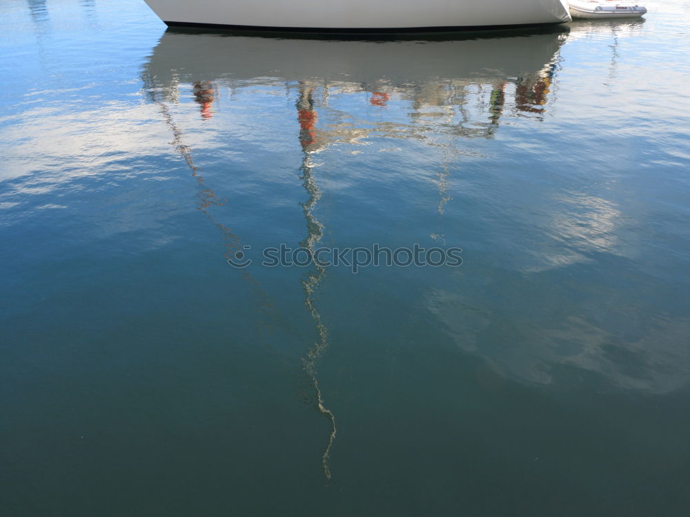 Similar – In the morning Buoy Zingst