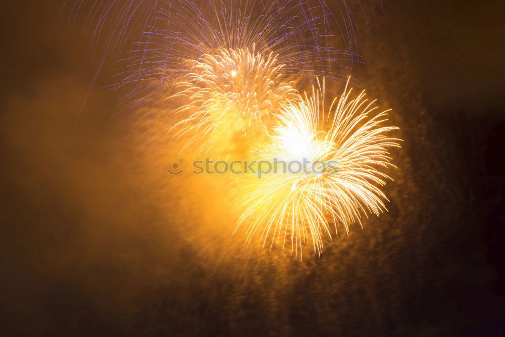 Similar – Foto Bild goldregen Explosion