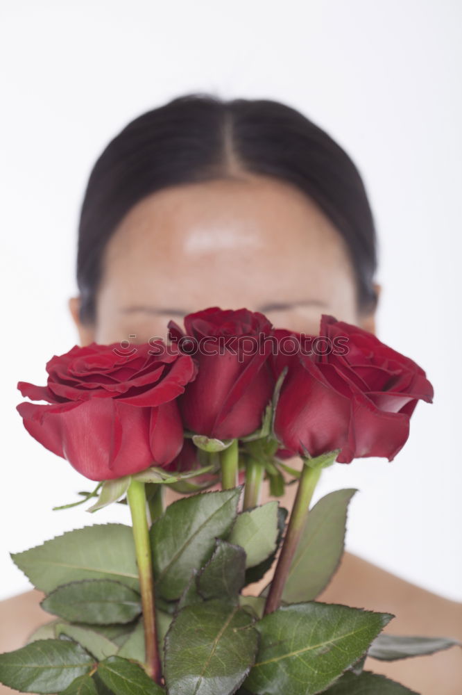 Similar – red roses for Valentine’s Day