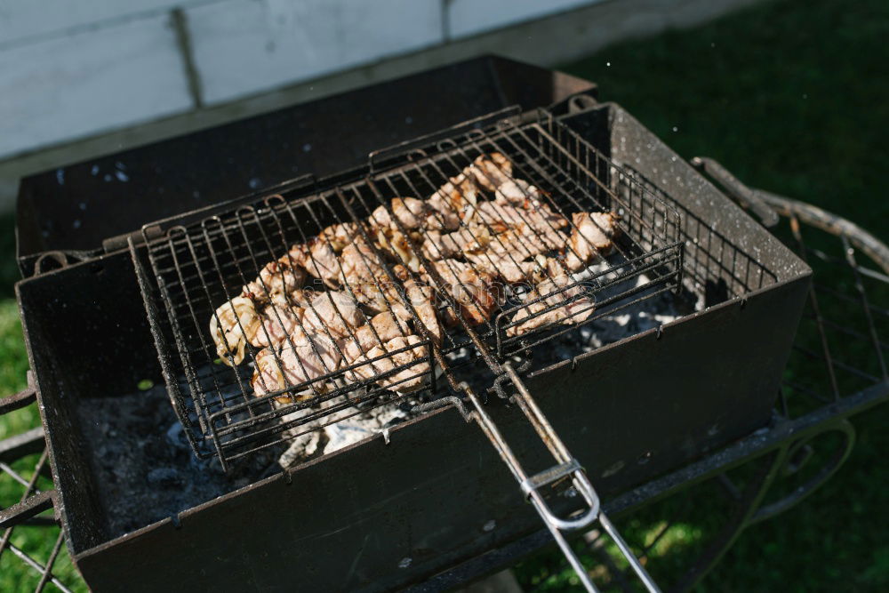 Similar – Image, Stock Photo barbecue Nutrition Dinner