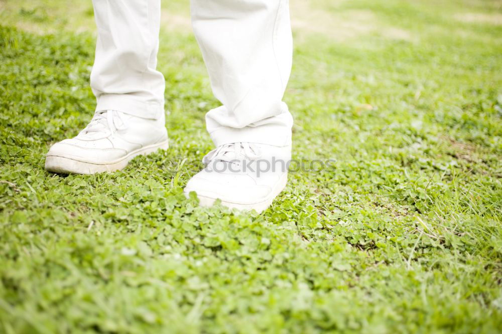 Similar – green shoes Colour photo