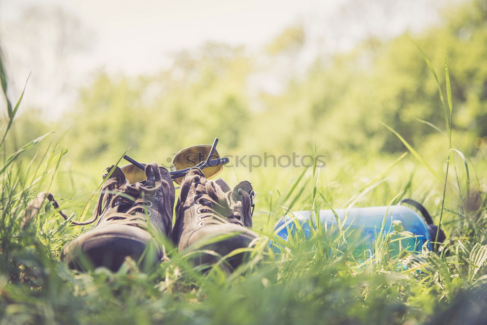 Image, Stock Photo Old sneakers abandoned