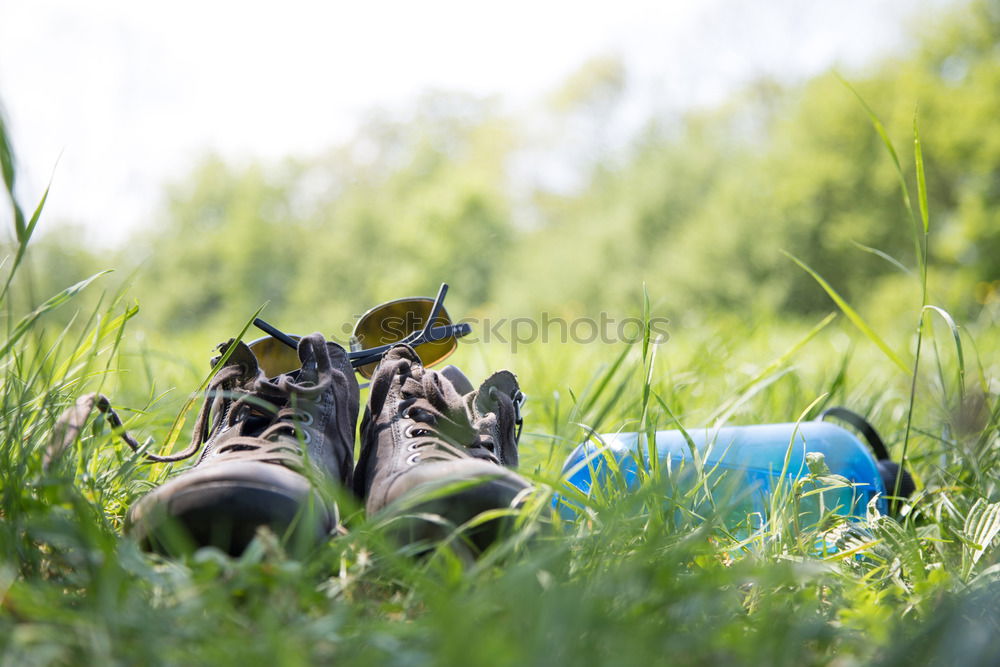 Similar – Image, Stock Photo Old sneakers abandoned