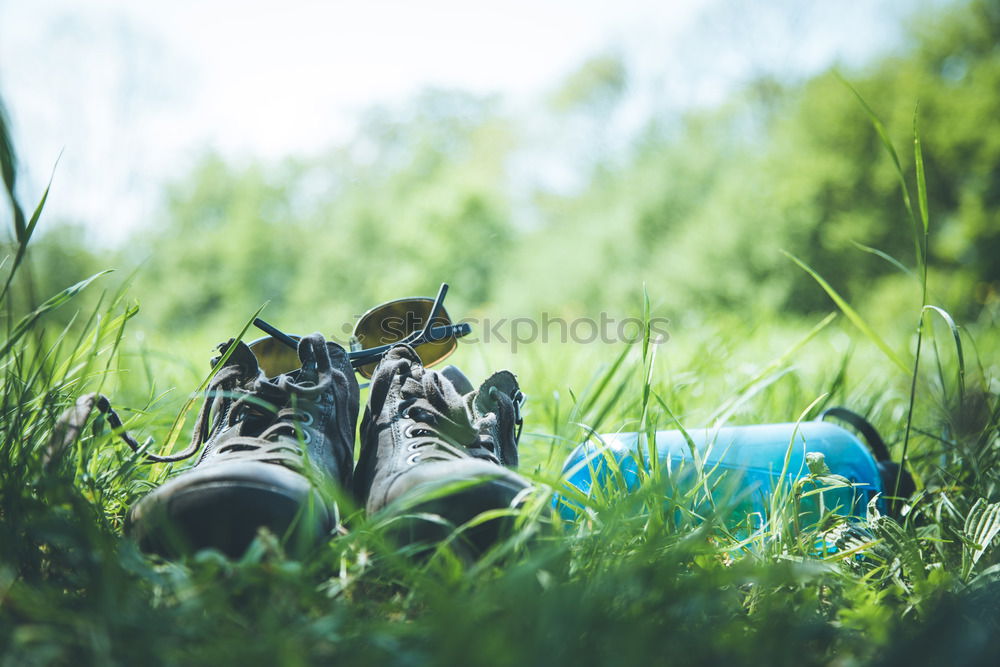 Similar – Image, Stock Photo Old sneakers abandoned