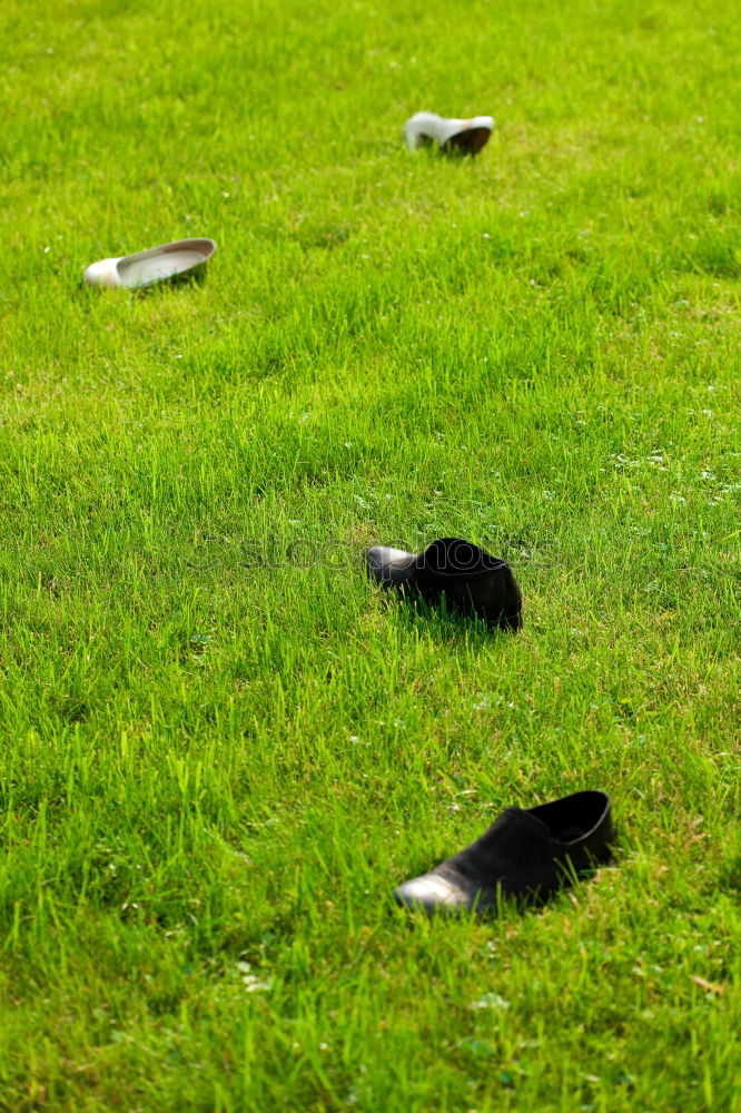 Image, Stock Photo Groundkeeper (powered by akai)