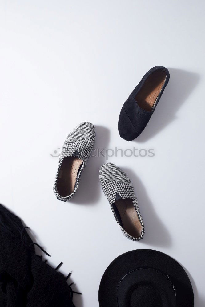 Similar – Image, Stock Photo Mouse in shoe color mouse