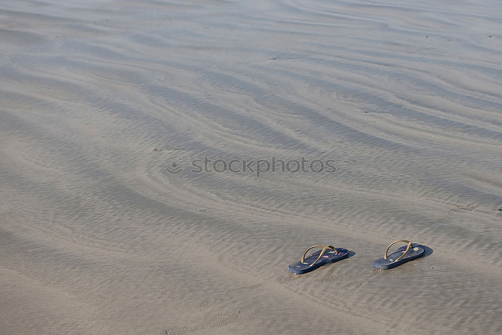 Similar – Beach walk at low tide