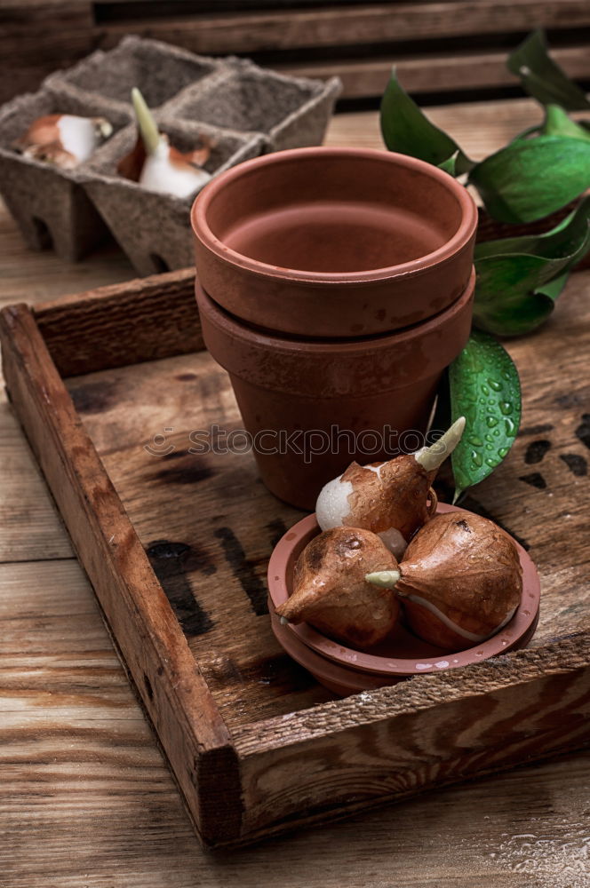 Similar – Table spice set with pepper mill and fresh herbs