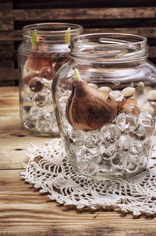 Similar – Image, Stock Photo Blueberries and yogurt chia pudding parfait