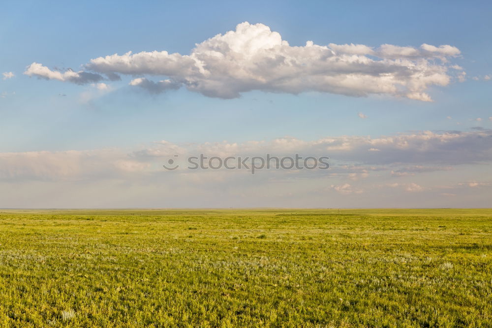 Image, Stock Photo It’s the most beautiful outdoors.