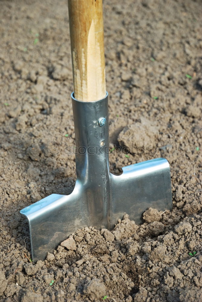 Similar – Image, Stock Photo In the garden Garden