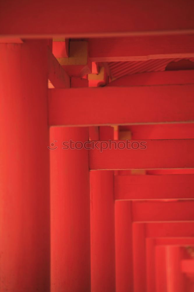 Image, Stock Photo dress Changing room Red