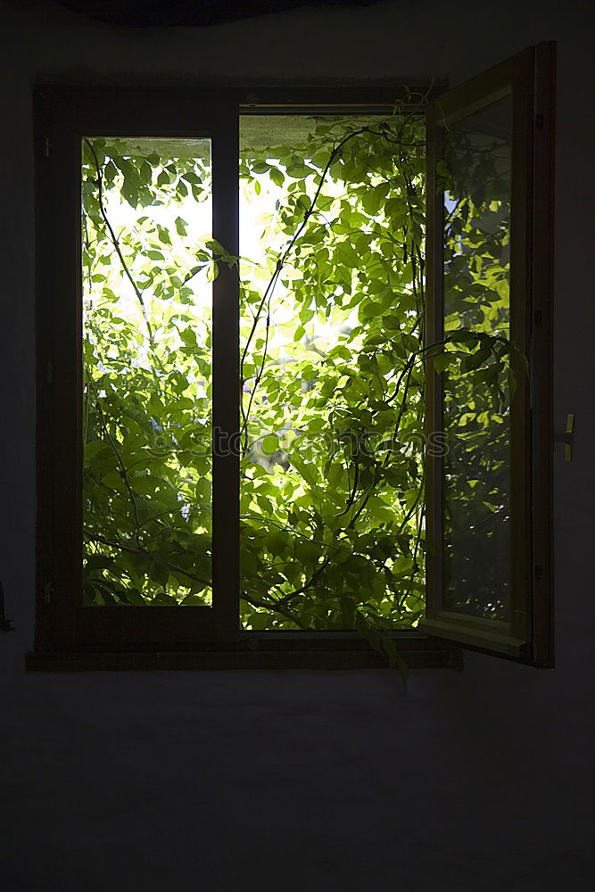 Similar – Image, Stock Photo #A# Window Hut Esthetic