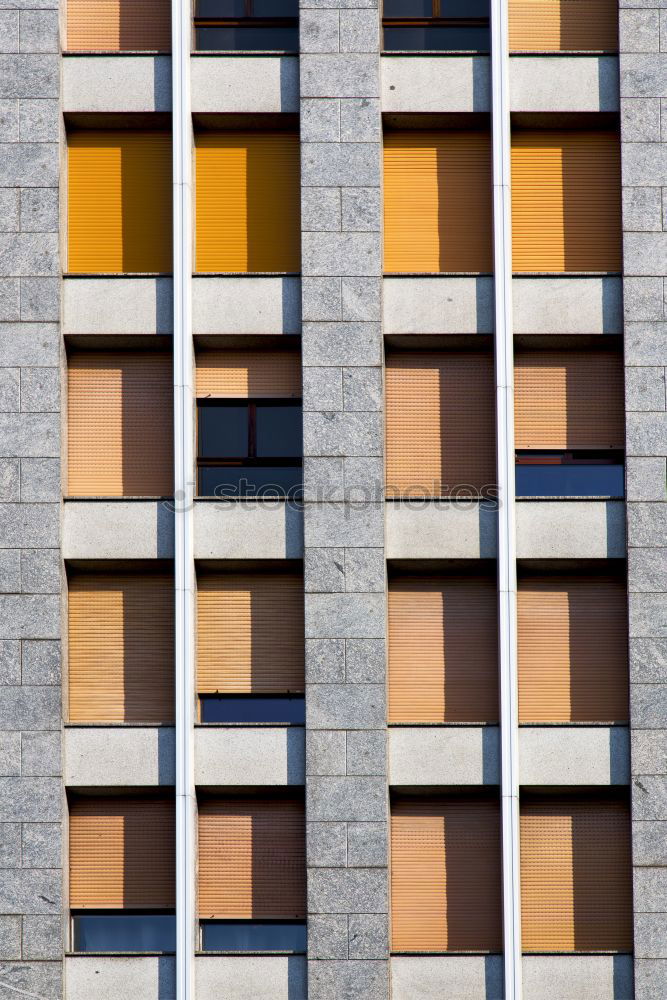 school Yellow Window