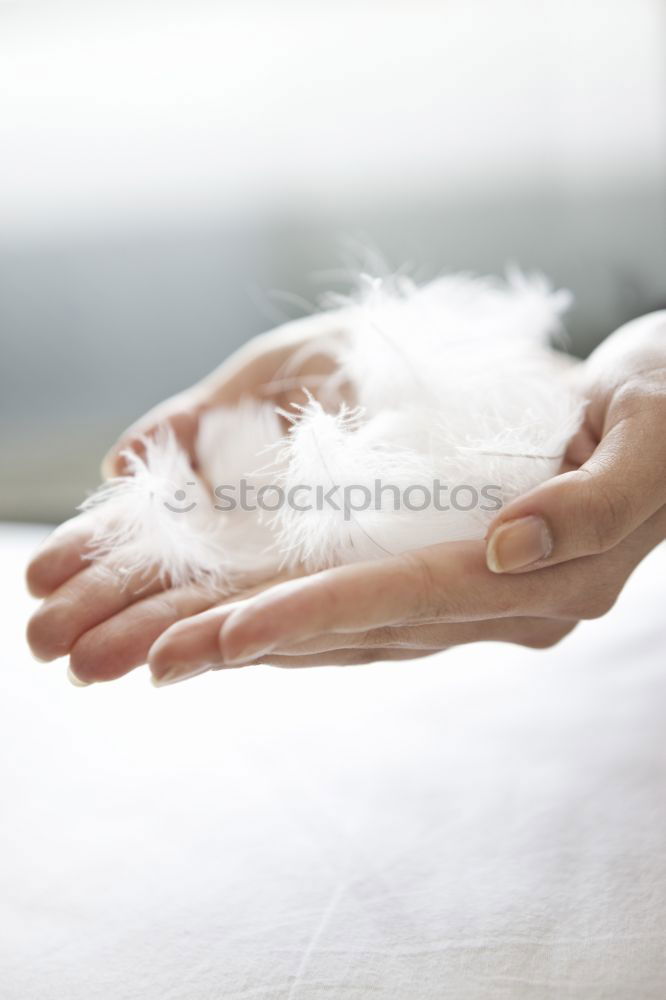 Similar – Image, Stock Photo mouse and hand Hand