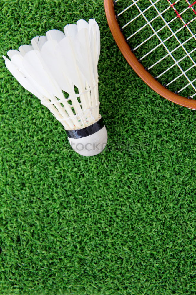 Similar – a badminton ball is lying on a badminton racket in the grass