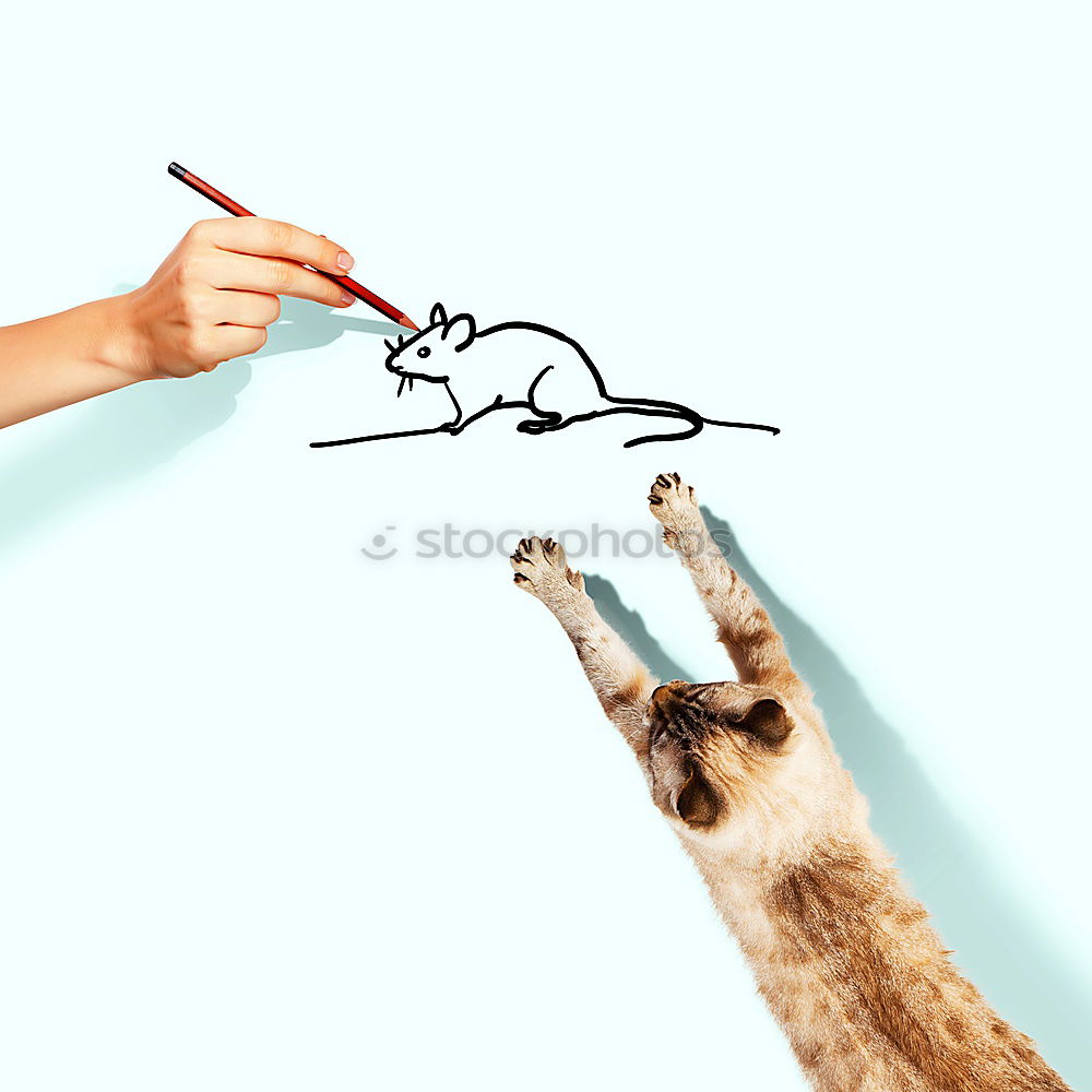 Similar – Image, Stock Photo paper tiger