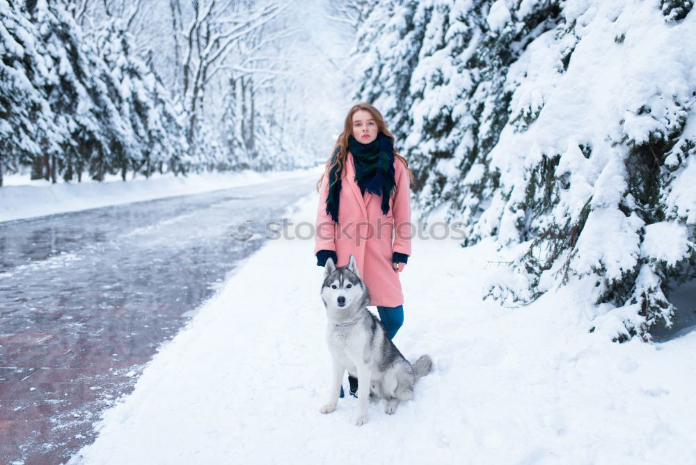 Similar – Image, Stock Photo Tourist with backpack in snowy forest