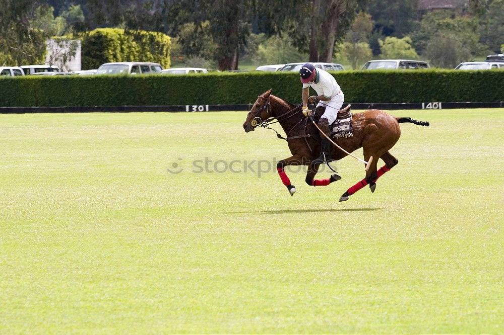 Similar – Image, Stock Photo 1 HP Horse Show jumping