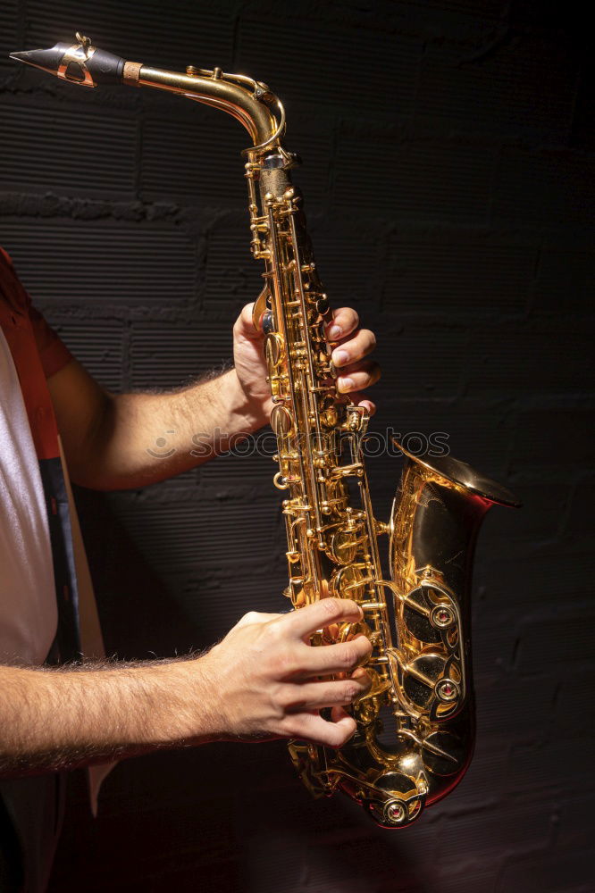 Similar – Image, Stock Photo sax Lifestyle Design