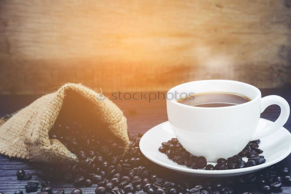 Similar – Image, Stock Photo Turquoise coffee mug held by hands of young woman in yellow pigtail sweater