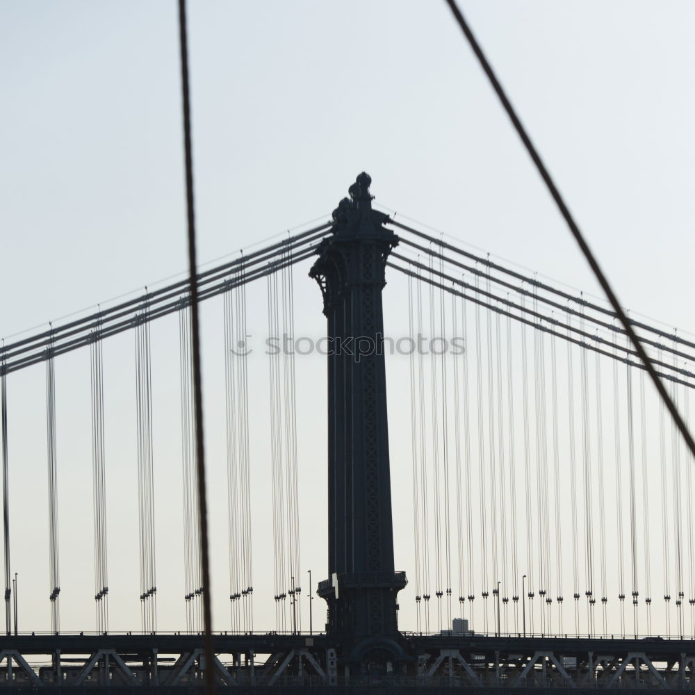 Similar – Laubbrücke Blatt Himmel